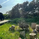 Summer With Wilderness Bath Near Lonstrup