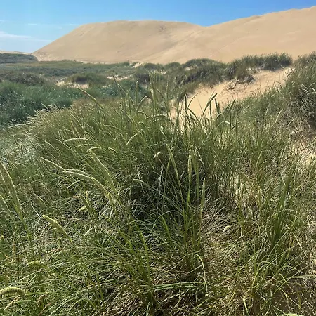 펜션 Summer With Wilderness Bath Near Lønstrup